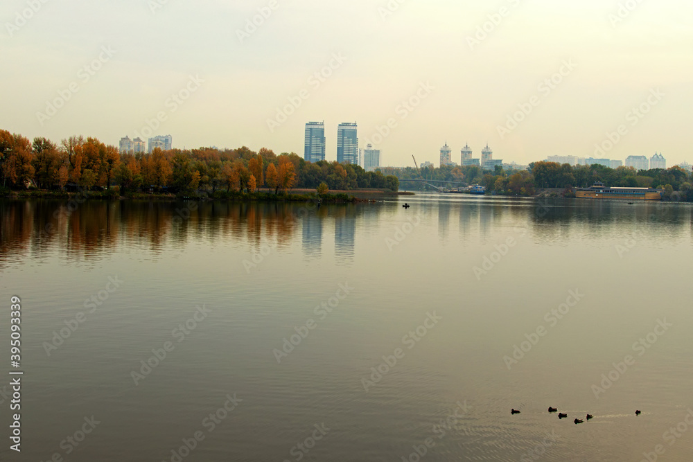 Scenic morning landscape of Dnieper River. A group of ducks are looking for food. Autumn colored trees reflected in the tranquil water. Several skyscrapers in the background against cloudy sky