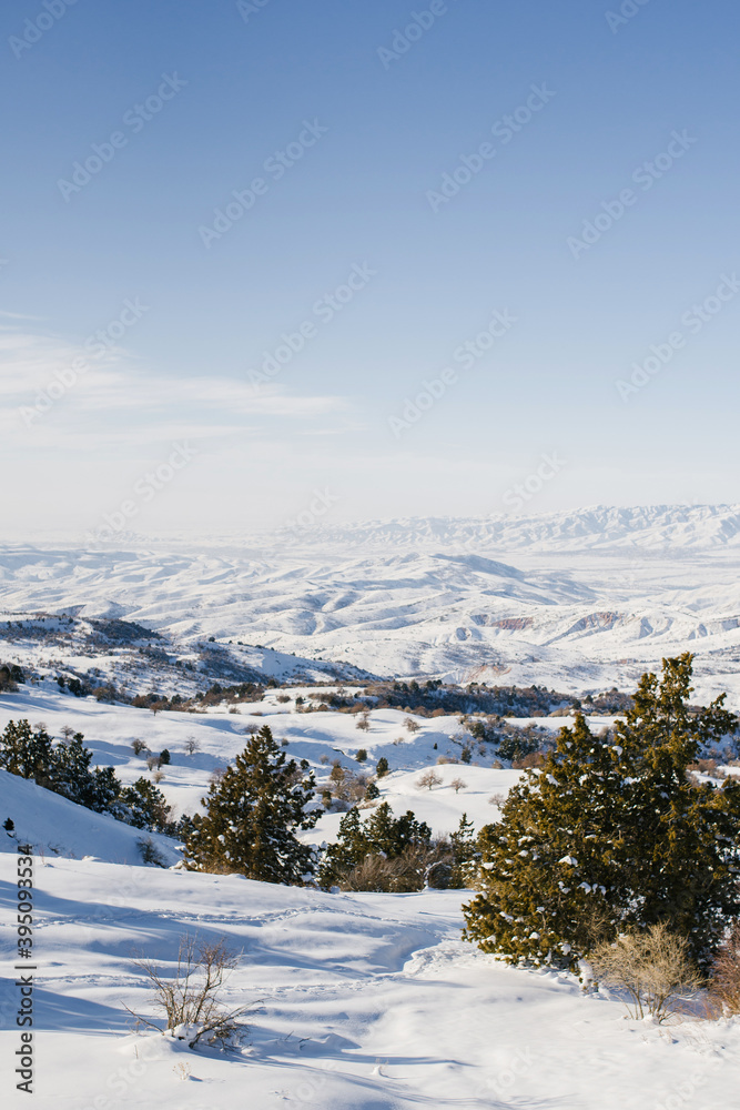 Location of the Tian Shan mountains, Uzbekistan, Central Asia. Winter mountain forest. The view from the cable car to the Ski resort Beldersay