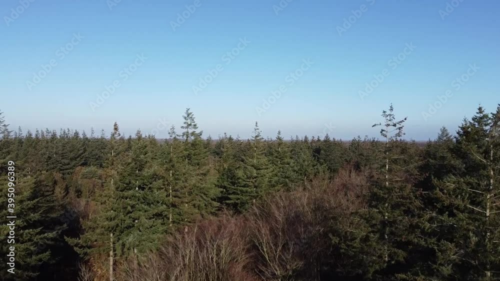 Aerial view from the autumn forest around Nijemirdum in Friesland, The Netherlands Aerial view from the autumn forest around Nijemirdum in Friesland, The Netherlands