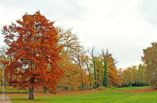 Bunte Herbstzeit im Neuen Garten Potsdam