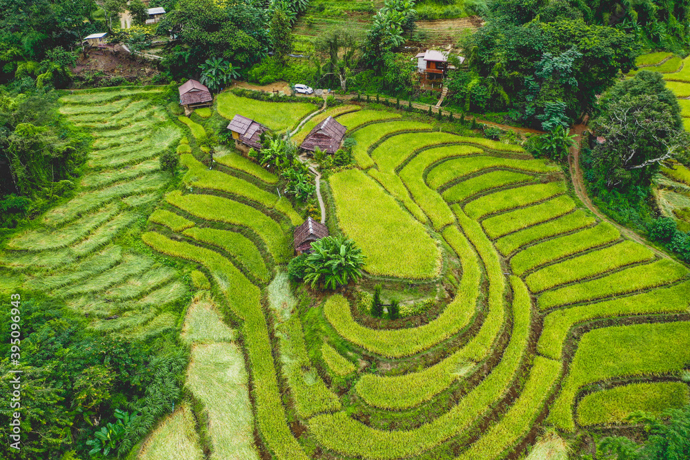 Rice Terraces in Doi inthanon national park in chiang Mai province, Thailand Rice Terraces in Doi inthanon national park in chiang Mai province, Thailand