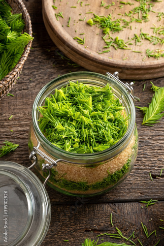 Preparation of homemade syrup against cough from young spruce tips and sugar