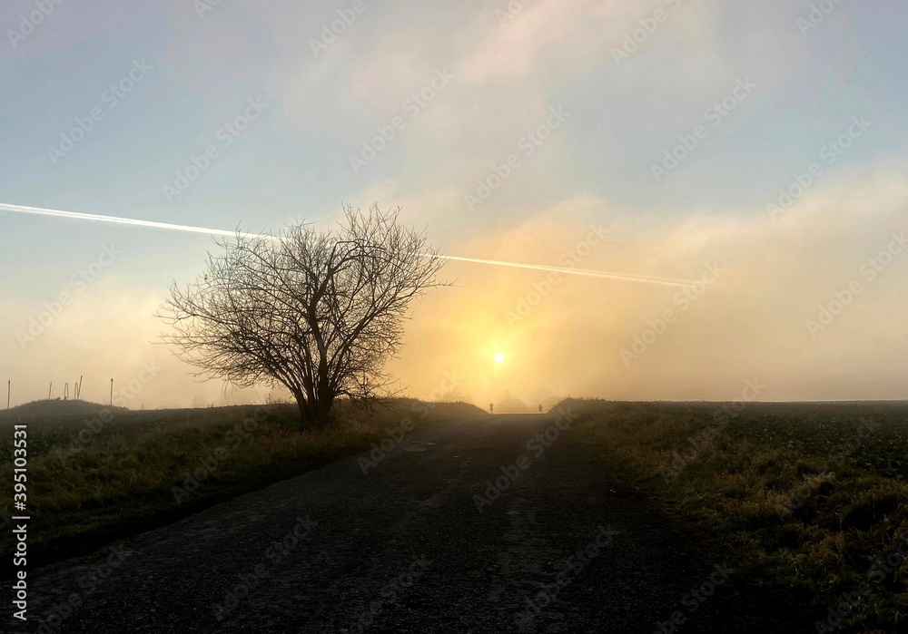 sunrise in the fog
