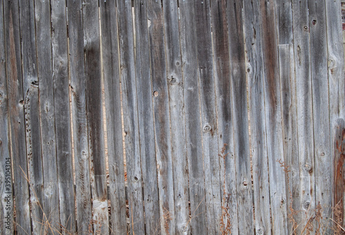 The Fences They Surround Us