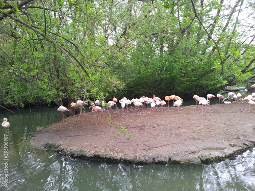 In the zoo