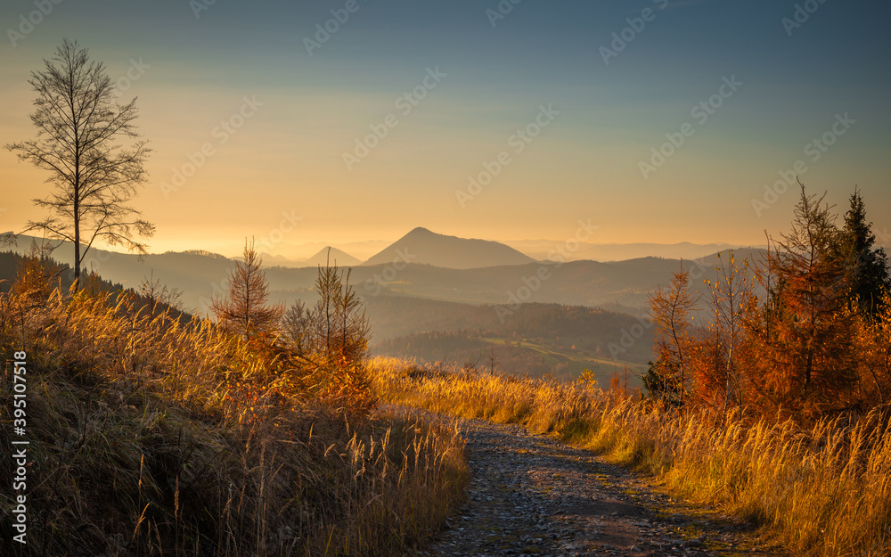 Rural landscape with dirt road. Hills and forests in autumn colors at sunset.