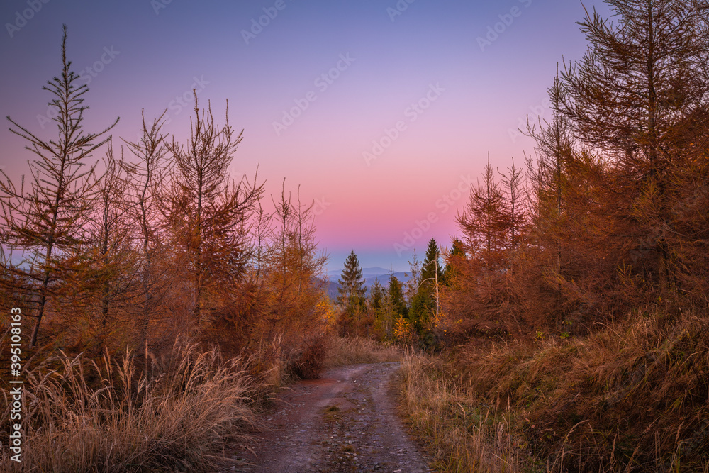 Rural landscape with dirt road. Hills and forests in autumn colors at sunset.