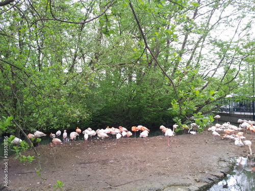 In the zoo