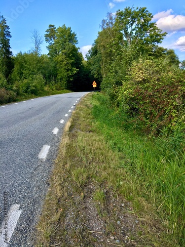 A Swedish road without any cars next to a green landscape with grass, bushes and trees. Some gray clouds in the blue sky. Stockholm, Sweden.
