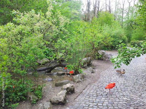 In the zoo