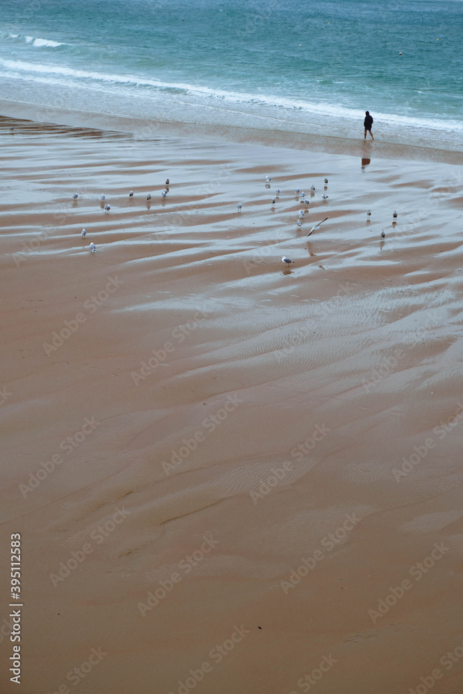Man walking alone on the beach near a flock of gulls