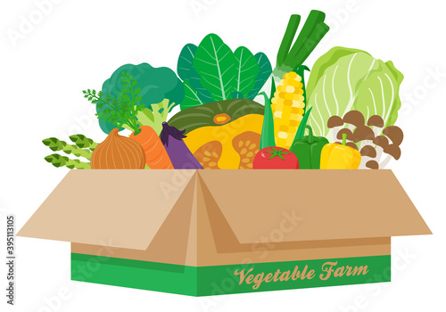 vegetables_in the cardboard