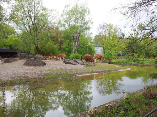In the zoo