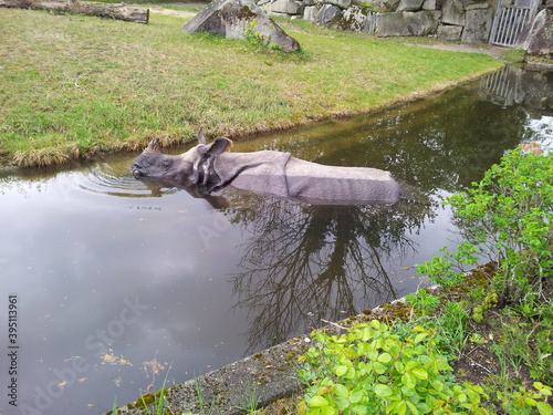 In the zoo