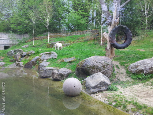 In the zoo