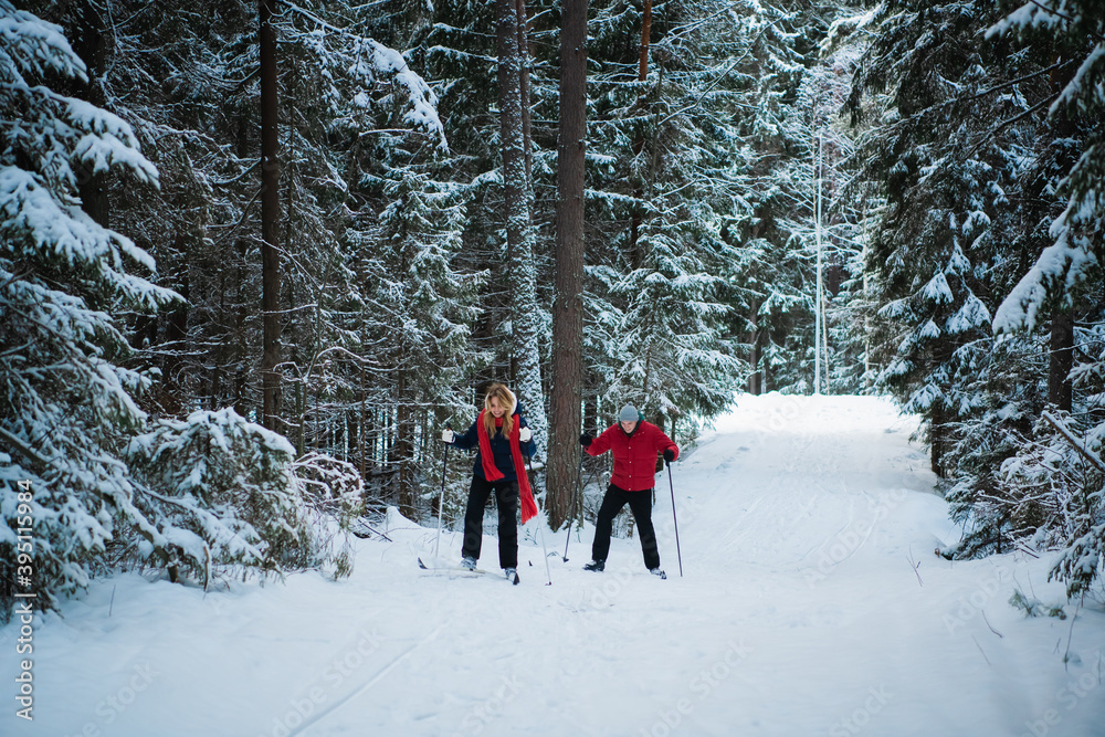 A walk in the spruce forest on skis brings joy and happiness to a young married couple of skiers.