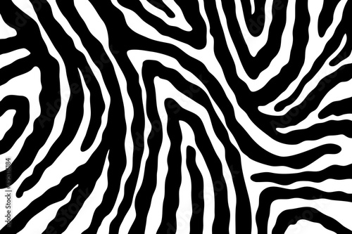 Vector abstract animalistic background. Freehand illustration of zebra skin print