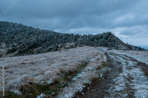 Snow-covered fir forest on the rise of the mountain. Snowy road in the mountains. Frost and blue on the road and trees. photo