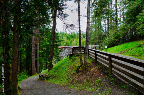 wooden bridge in the middle of a provincial park