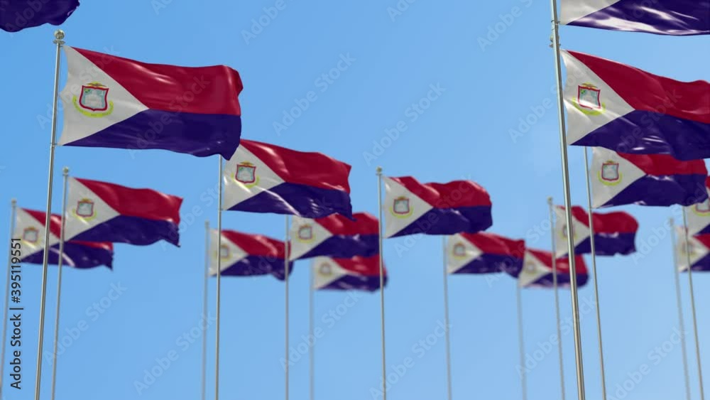 Saint Martin Row Of National flags Walk Throw Animation Saint Martin Row Of National flags Walk Throw Animation