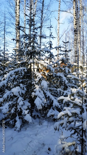 wooden made house in the winter forest