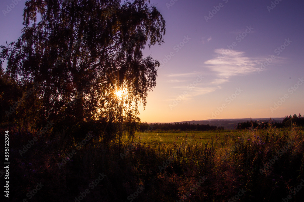 Fototapeta premium Sunset in Czech nature, Europe, colorful meadow, the sun through the tree 