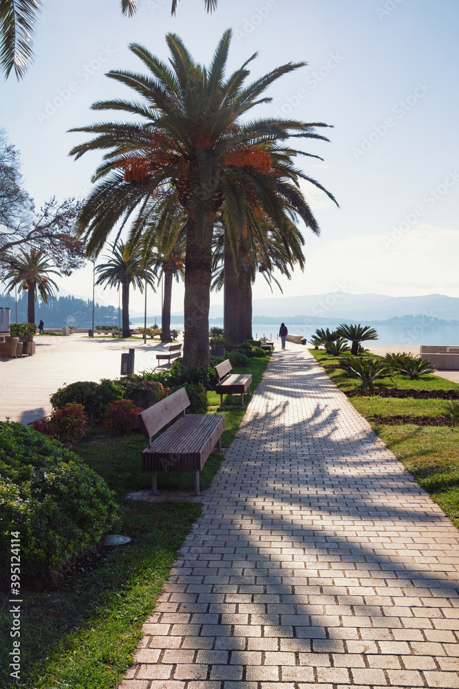 Beautiful Mediterranean landscape. Montenegro. Embankment of Tivat city on sunny autumn day Beautiful Mediterranean landscape. Montenegro. Embankment of Tivat city on sunny autumn day