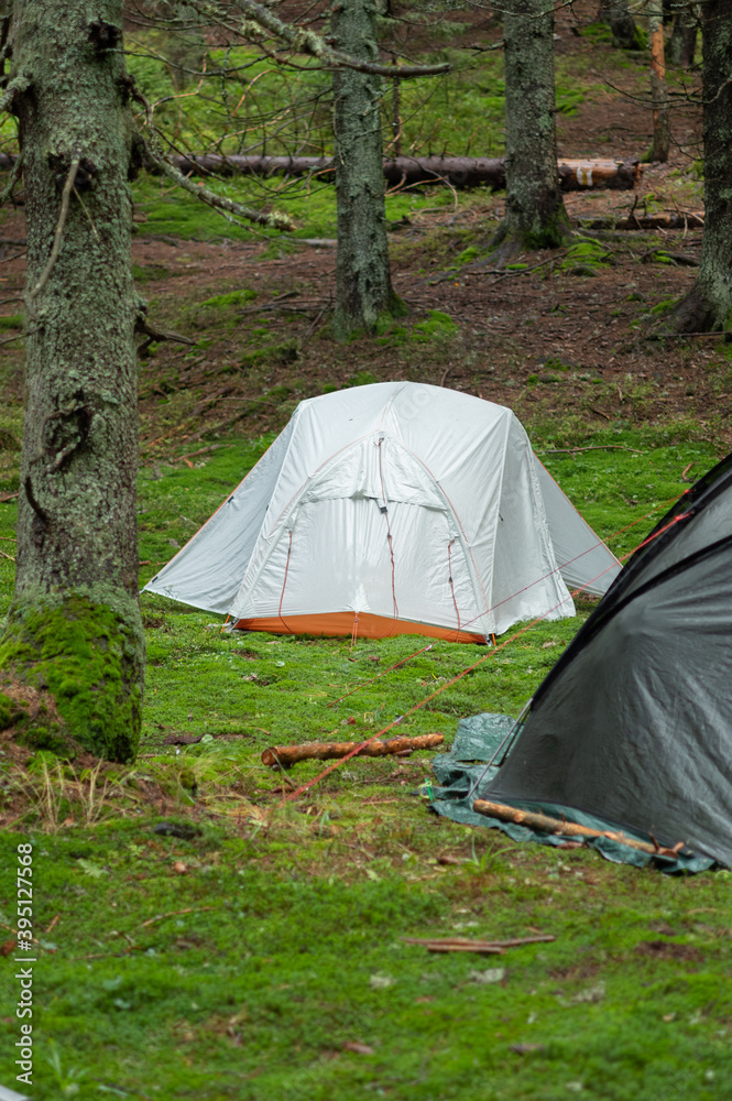 Tourist tent in the coniferous forest. Tourist camp in the forest.