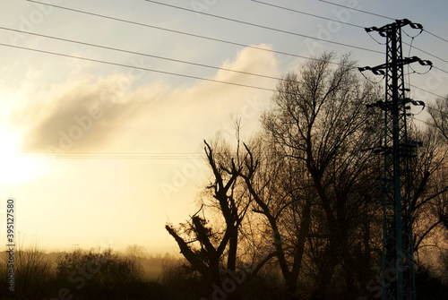 sunset in the field with electricity pole