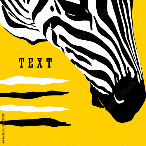 Zebra Head Modern Poster Vector 