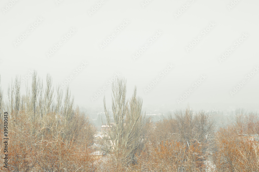 Winter urban frosty landscape - snow covered trees on foggy background Winter urban frosty landscape - snow covered trees on foggy background