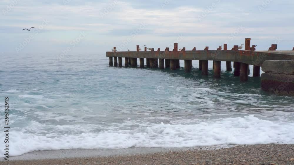 Yalta Seagulls on the old pier are cleaning their wings and resting. Black sea, light waves and cloudy sky Yalta Seagulls on the old pier are cleaning their wings and resting. Black sea, light waves and cloudy sky
