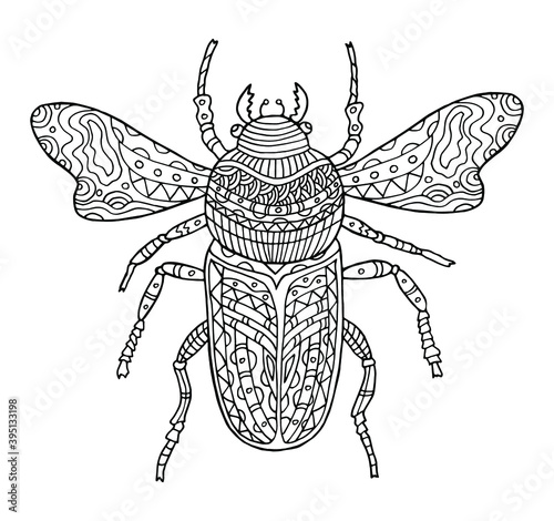 Hand drawn vector illustration of beetle on white background. Coloring page for children and adult. One of a series of painted pictures.