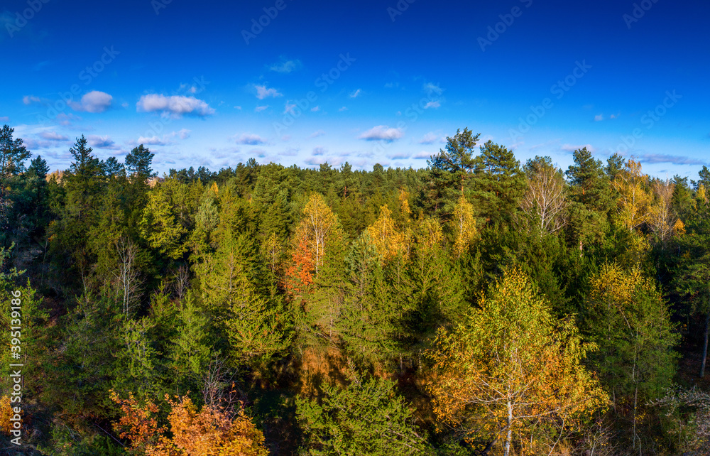 Autumn forest from above..
