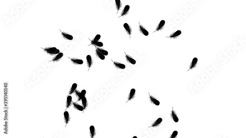 animation of cartoon bird wings in motion