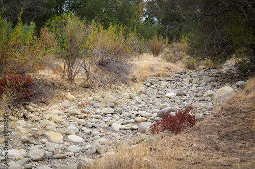 Dry California Creekbed