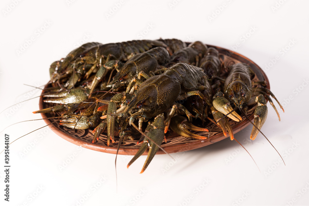 Crayfish live on a dish isolated on a white background. Fresh seafood snack. Crayfish live on a dish isolated on a white background. Fresh seafood snack.