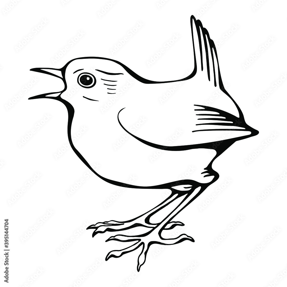 Fototapeta premium Hand drawn black and white vector of wren bird isolated on white. Festive elements for your design.