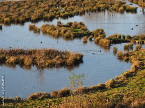 Biotop in Beeden im Saarlandes photo