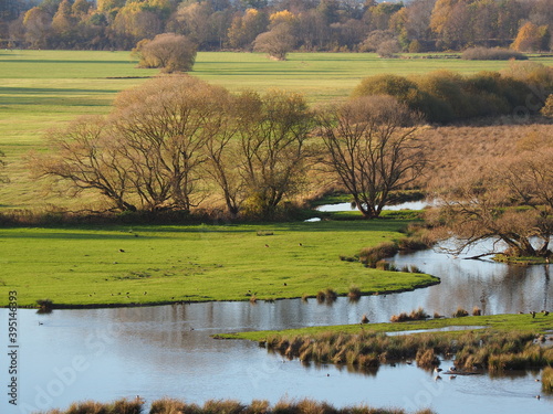 Biotop in Beeden im Saarlandes photo