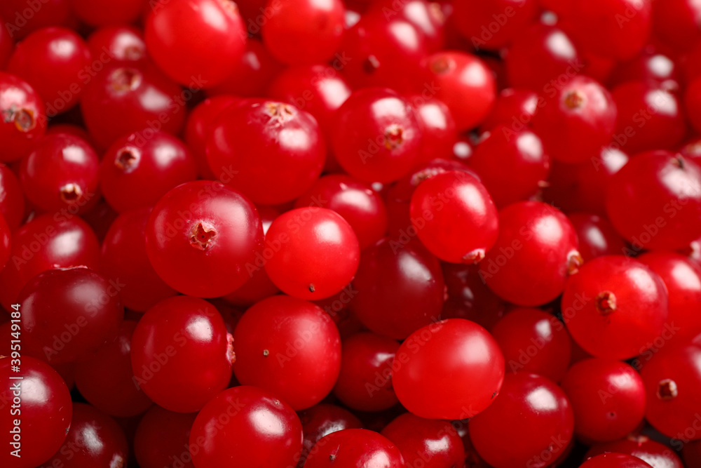 Fresh ripe cranberries as background, closeup view Fresh ripe cranberries as background, closeup view