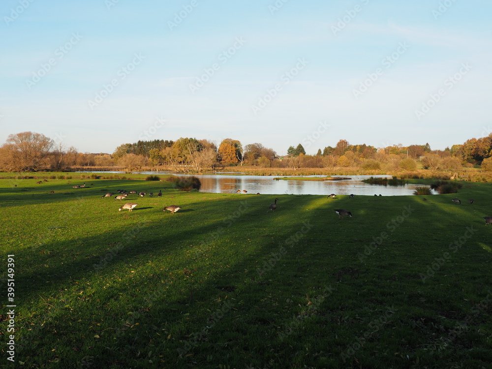 Biotop in Beeden im Saarlandes Biotop in Beeden im Saarlandes