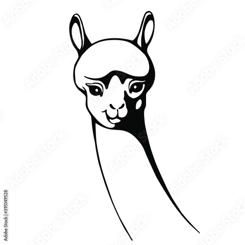Hand drawn funny lama. Black and white drawing vector. Cute illustration for your design and coloring books and pages.