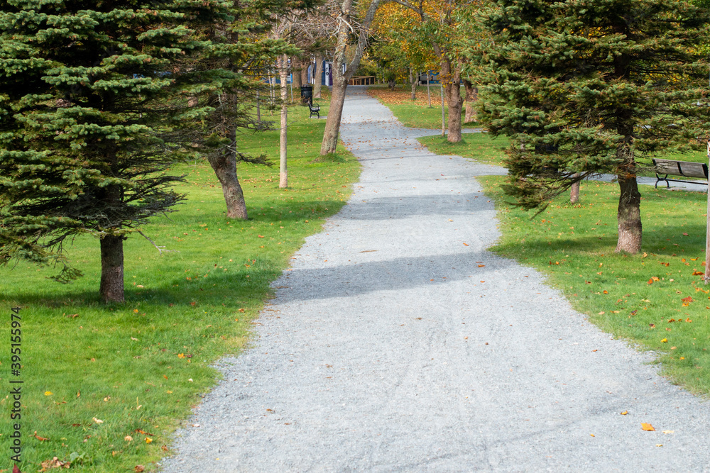 Obraz premium A gravel pebble footpath through a small park with a vibrant green grass lawn and tall trees on both sides of the park trail. The evergreen trees are casting shadows across the narrow path. 