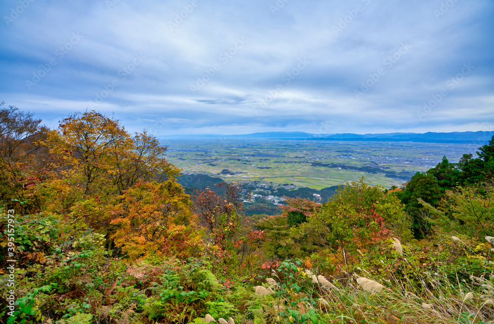 新潟 弥彦山の紅葉 新潟 弥彦山の紅葉