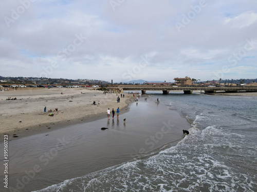 Dog Beach off-leash on Del Mar North Beach  people walking their dogs. San Diego County  California  USA. November 20  2020