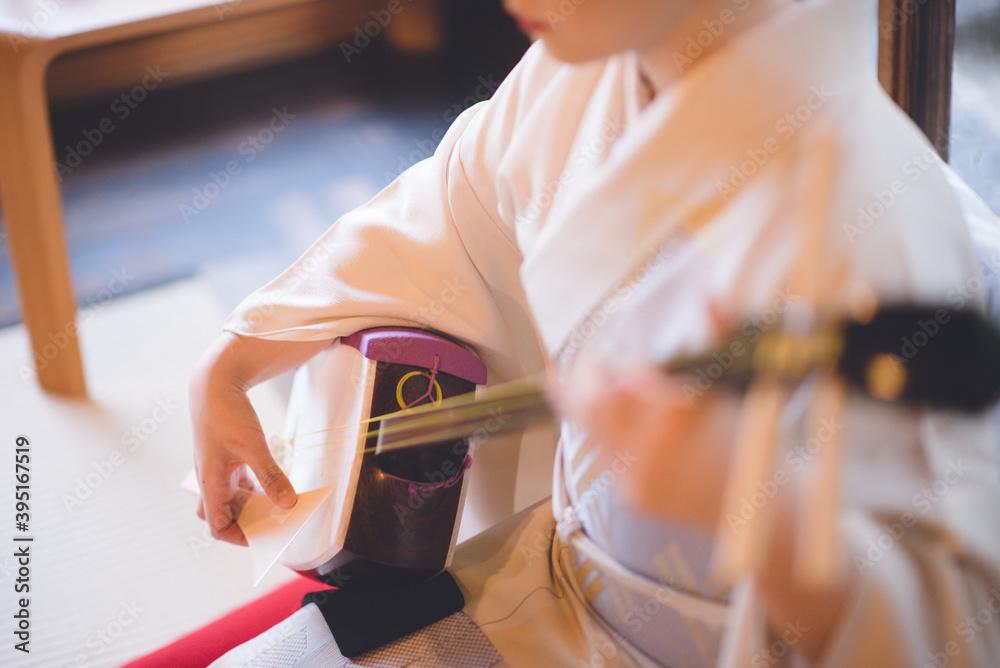 三味線 女性着物 結婚式余興 京都旅行 日本文化 伝統 Stock Foto Adobe Stock