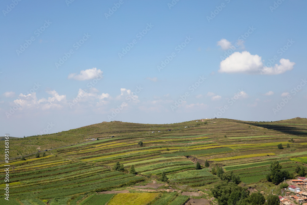 Scenery along the grassland and sky road in Zhangbei County, China