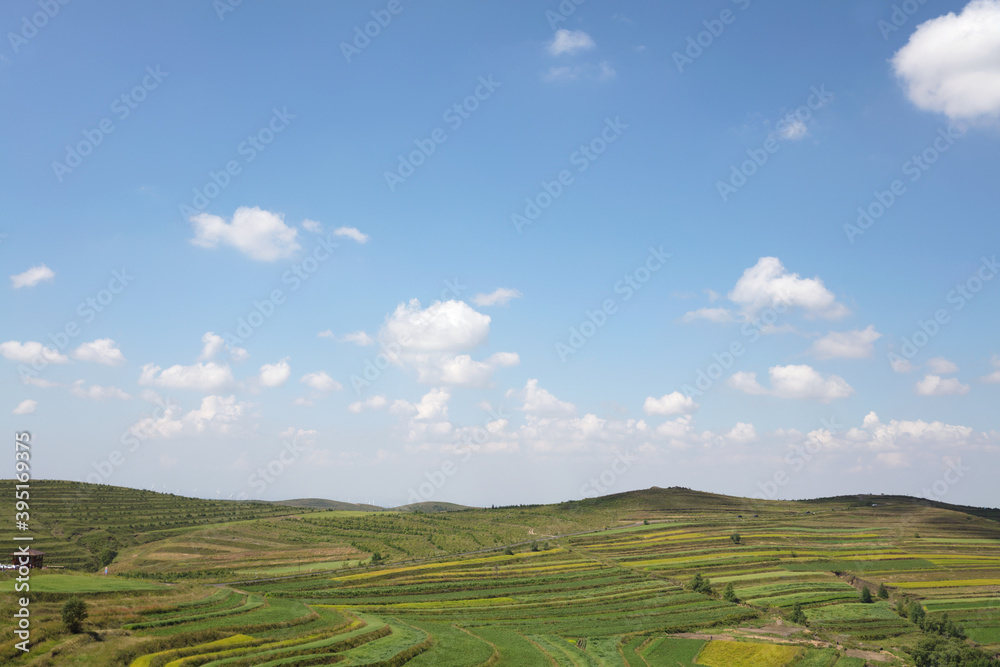 Grassland scenery in northern China under blue sky and white clouds