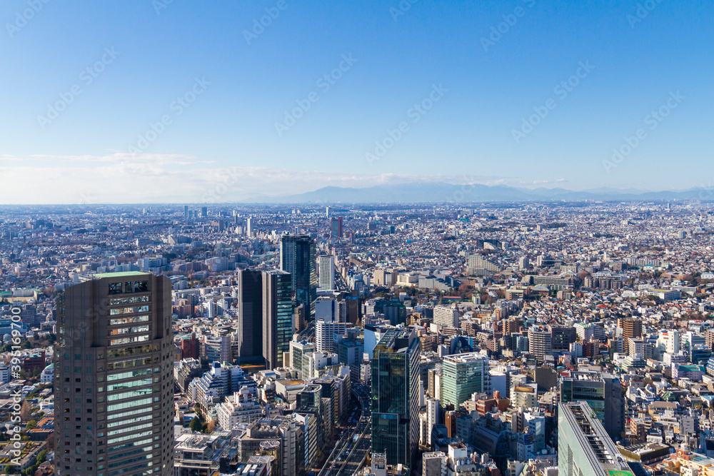 Aerial View of Tokyo - View of Sangenjyaya, Setagaya